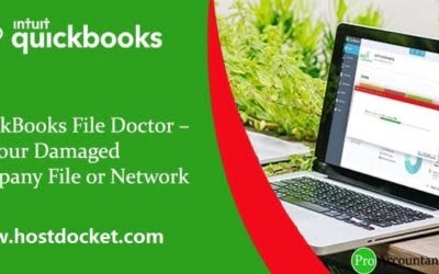 QuickBooks File Doctor – Fix your Damaged Company File or Network?