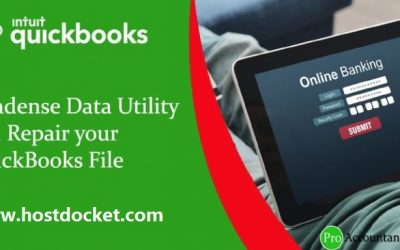 QuickBooks Condense Data Utility: Repair your Data Files
