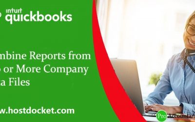 How to Combine Reports from two or More Company Data Files?