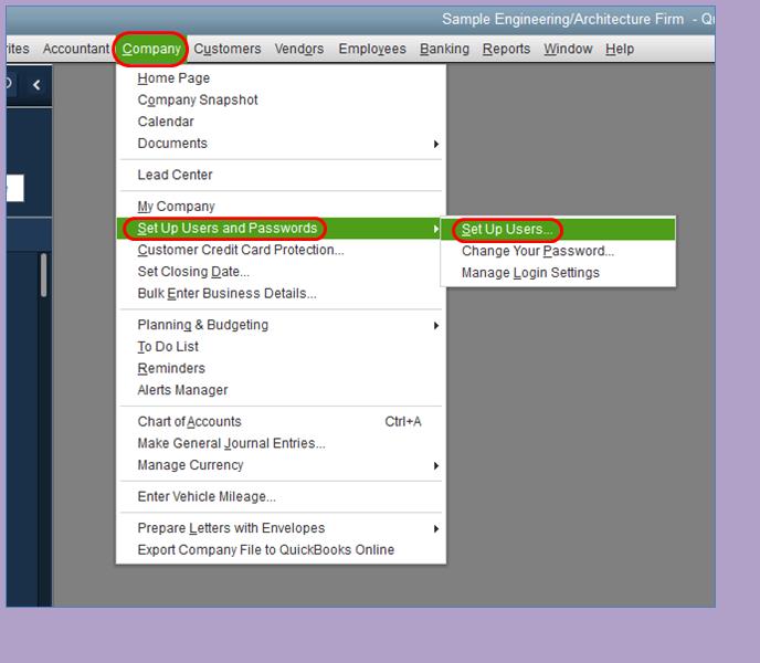 Set up users and passwords - quickbooks company file in use