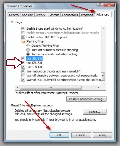 Reviewing on the Internet Explorer settings - screenshot