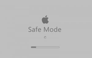 Start Mac in the Safe Mode - Screenshot