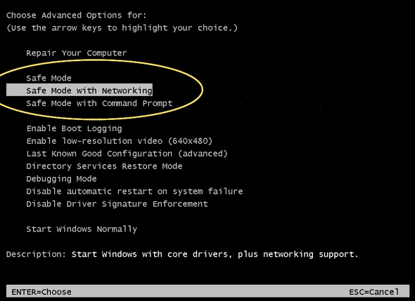 Safe mode with networking 