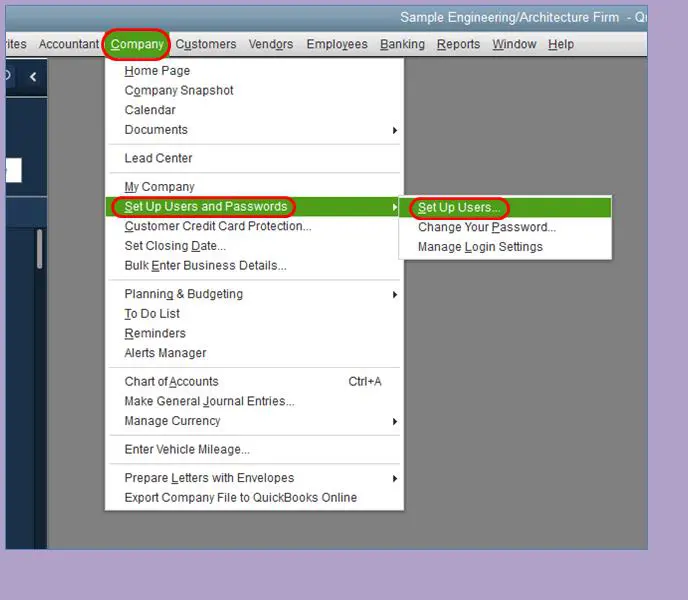 Set up users and password in multi user mode in QuickBooks